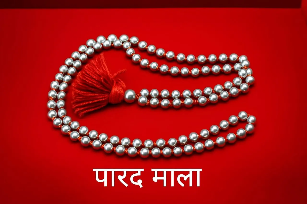 Original Parad Mala Original Parad Mala