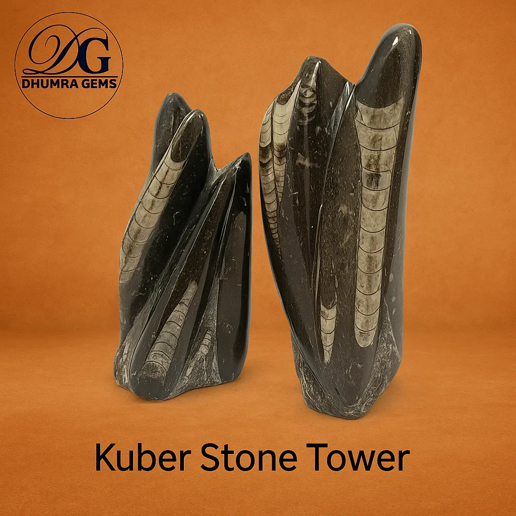 kuber stone tower orthoceras fossil for wealth Kuber Stone fossil tower for Vastu, energy healing, and prosperity