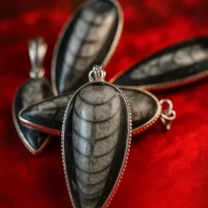 Group of Orthoceras Kuber Stone Pendants made from ancient fossils, silver bezel setting