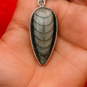 Orthoceras Kuber Pendant in hand, showing real size and silver setting of the fossil crystal pendant