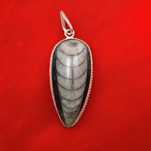 Orthoceras Kuber Stone Pendant for wealth and prosperity, made from natural fossil, spiritual healing jewelry