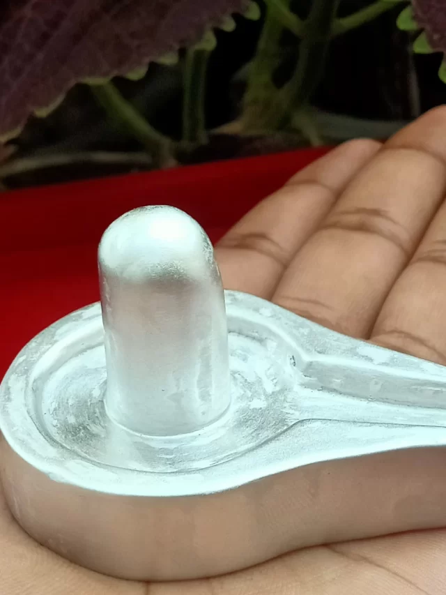 क्या आपके पारद शिवलिंग असली है? पहचानें शास्त्रों के अनुसार